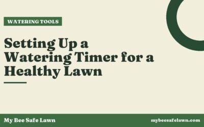 Setting Up a Watering Timer for a Healthy Lawn