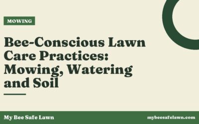 Bee-Conscious Lawn Care Practices: Mowing, Watering and Soil