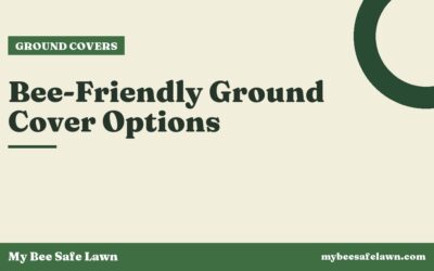 Bee-Friendly Ground Cover Options