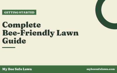 Complete Bee-Friendly Lawn Guide