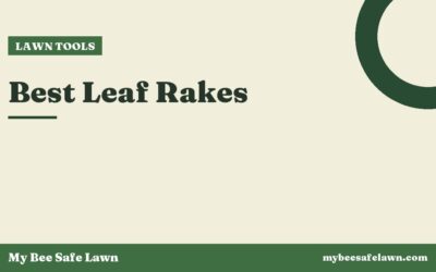 Best Leaf Rakes