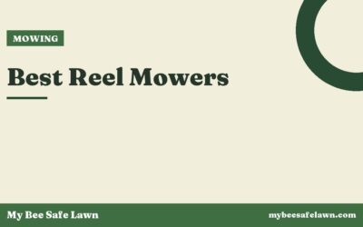 Best Reel Mowers