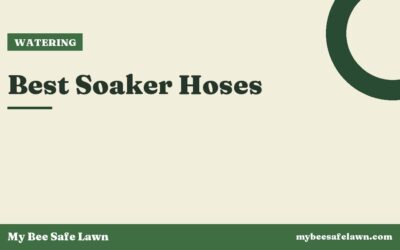 Best Soaker Hoses
