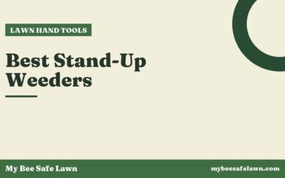 Best Stand-Up Weeders