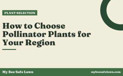 How to Choose Pollinator Plants for Your Region