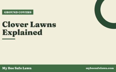 Clover Lawns Explained