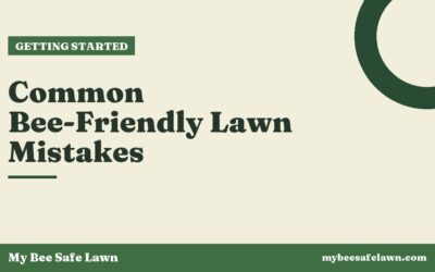 Common Bee-Friendly Lawn Mistakes