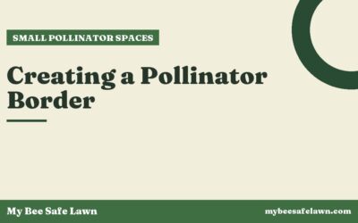 Creating a Pollinator Border