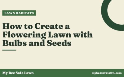 How to Create a Flowering Lawn with Bulbs and Seeds