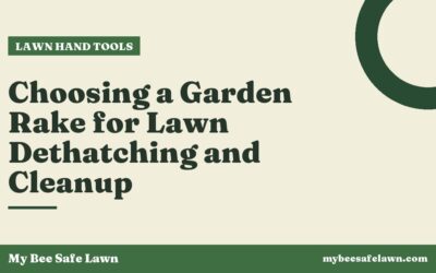 Choosing a Garden Rake for Lawn Dethatching and Cleanup