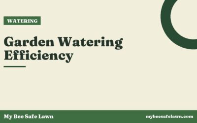 Garden Watering Efficiency