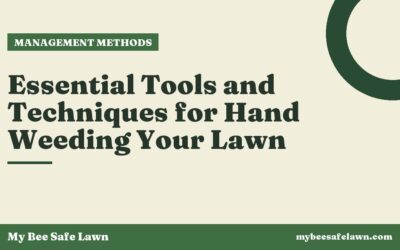 Essential Tools and Techniques for Hand Weeding Your Lawn