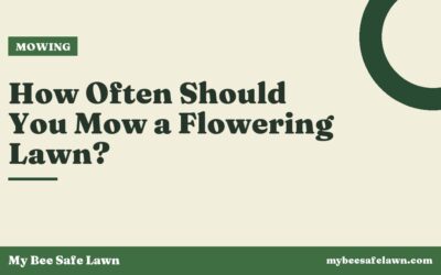 How Often Should You Mow a Flowering Lawn?
