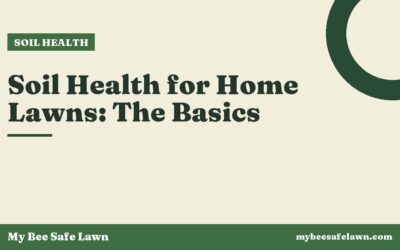 Soil Health for Home Lawns: The Basics