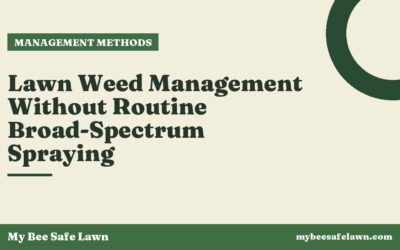 Lawn Weed Management Without Routine Broad-Spectrum Spraying