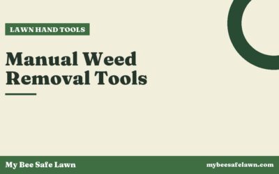 Manual Weed Removal Tools