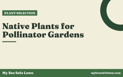 Native Plants for Pollinator Gardens