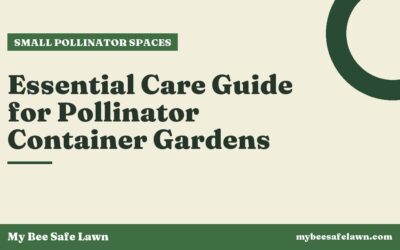 Essential Care Guide for Pollinator Container Gardens