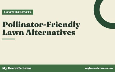 Pollinator-Friendly Lawn Alternatives