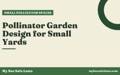 Pollinator Garden Design for Small Yards