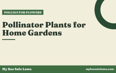 Pollinator Plants for Home Gardens
