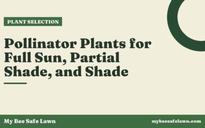 Pollinator Plants for Full Sun, Partial Shade, and Shade