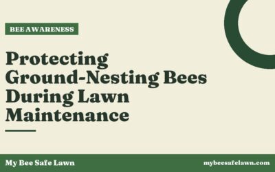 Protecting Ground-Nesting Bees During Lawn Maintenance
