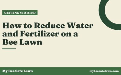 How to Reduce Water and Fertilizer on a Bee Lawn
