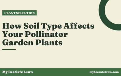 How Soil Type Affects Your Pollinator Garden Plants
