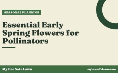 Essential Early Spring Flowers for Pollinators
