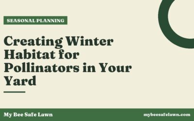 Creating Winter Habitat for Pollinators in Your Yard